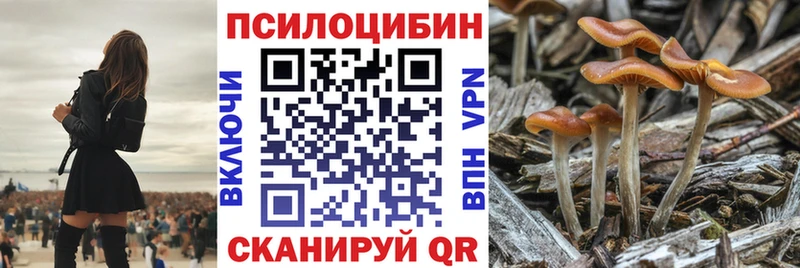 это наркотические препараты  Димитровград  Галлюциногенные грибы Cubensis  даркнет сайт  hydra ссылки 