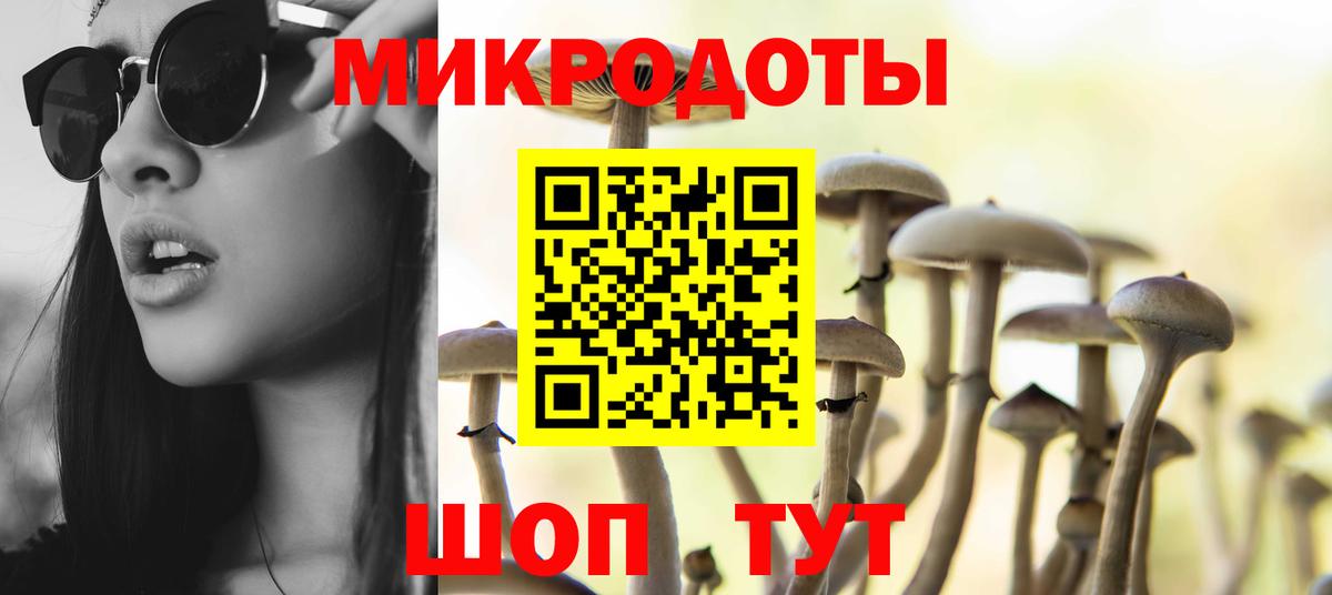 Псилоцибиновые грибы мухоморы  Димитровград 